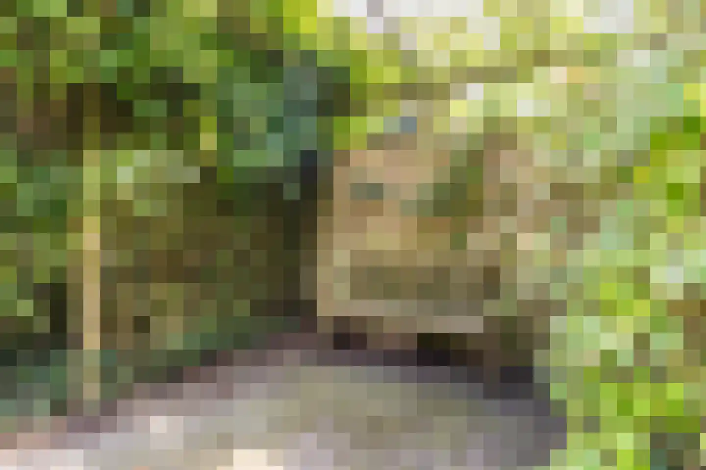 Waaijenburg 4 Ruurlo thumbnail 58