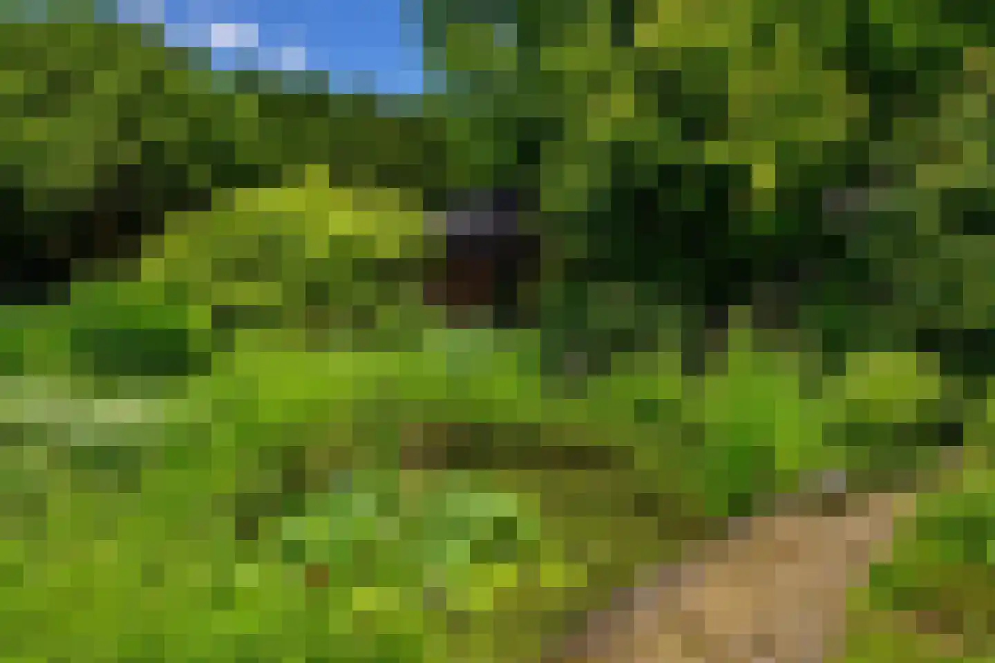 Waaijenburg 4 Ruurlo thumbnail 6