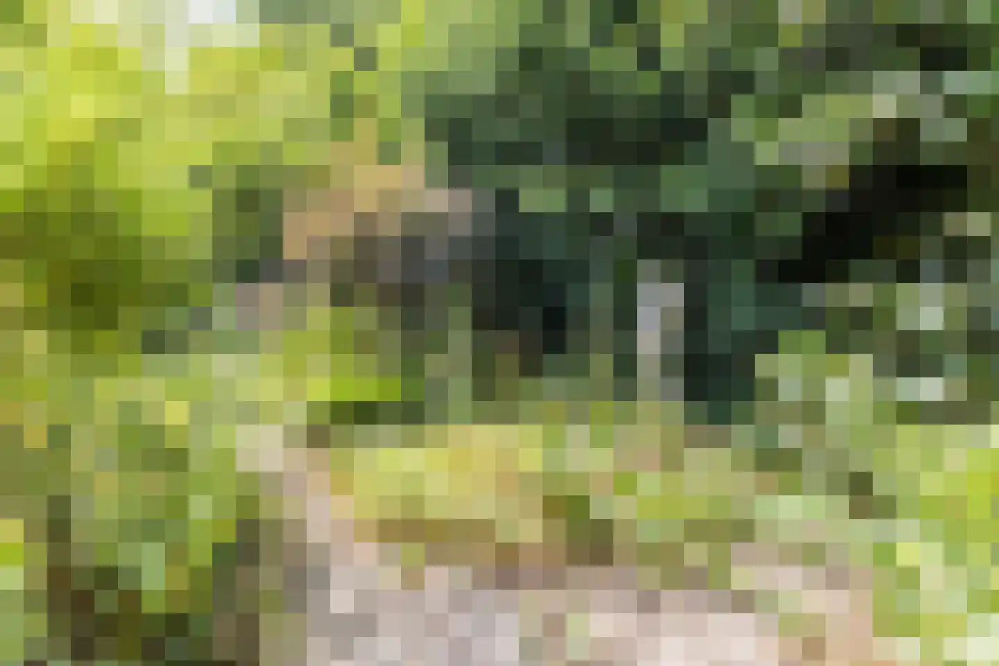 Waaijenburg 4 Ruurlo thumbnail 64