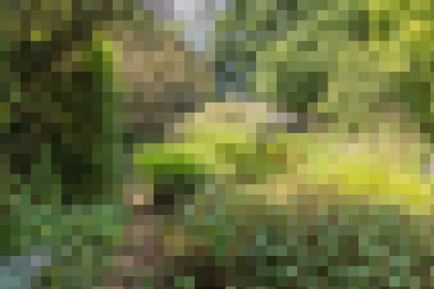Waaijenburg 4 Ruurlo thumbnail 65