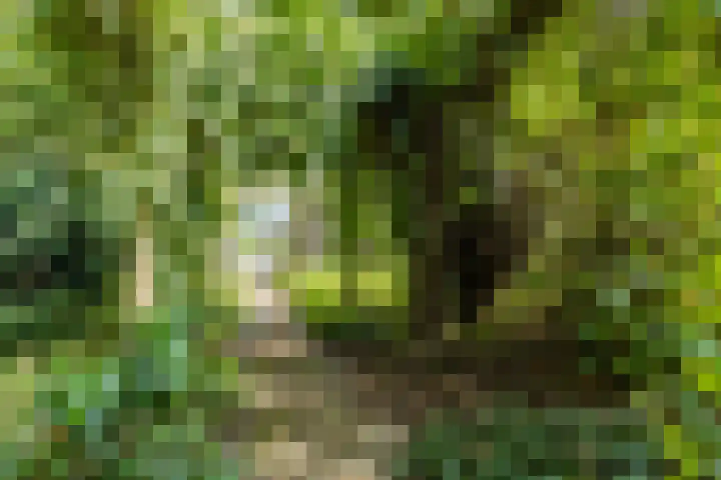 Waaijenburg 4 Ruurlo thumbnail 66