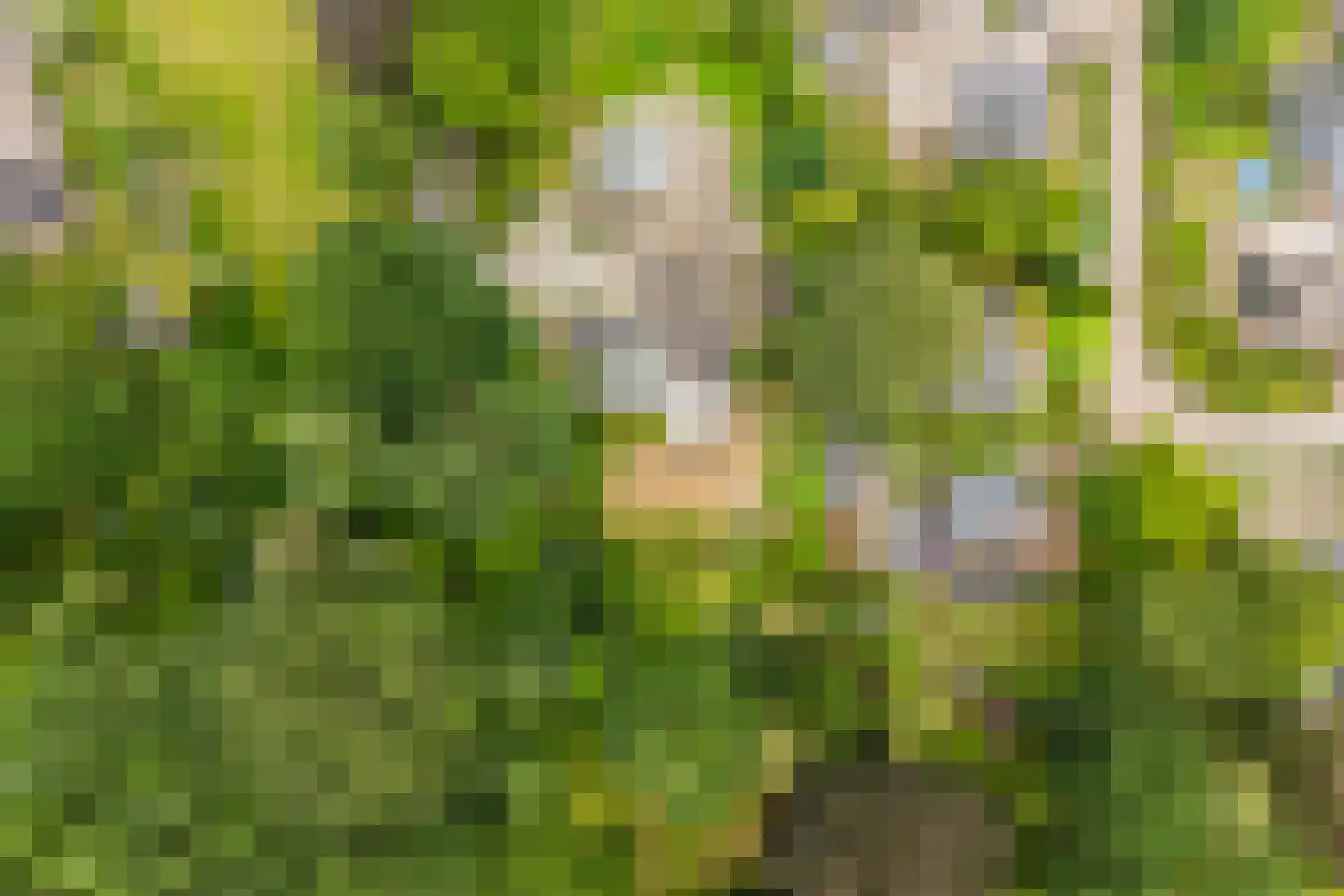 Waaijenburg 4 Ruurlo thumbnail 67