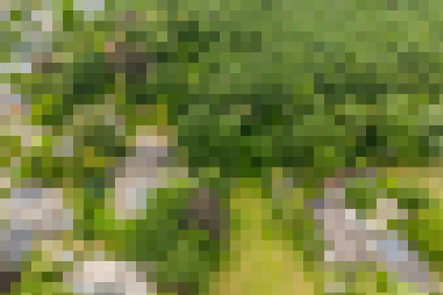 Waaijenburg 4 Ruurlo thumbnail 68