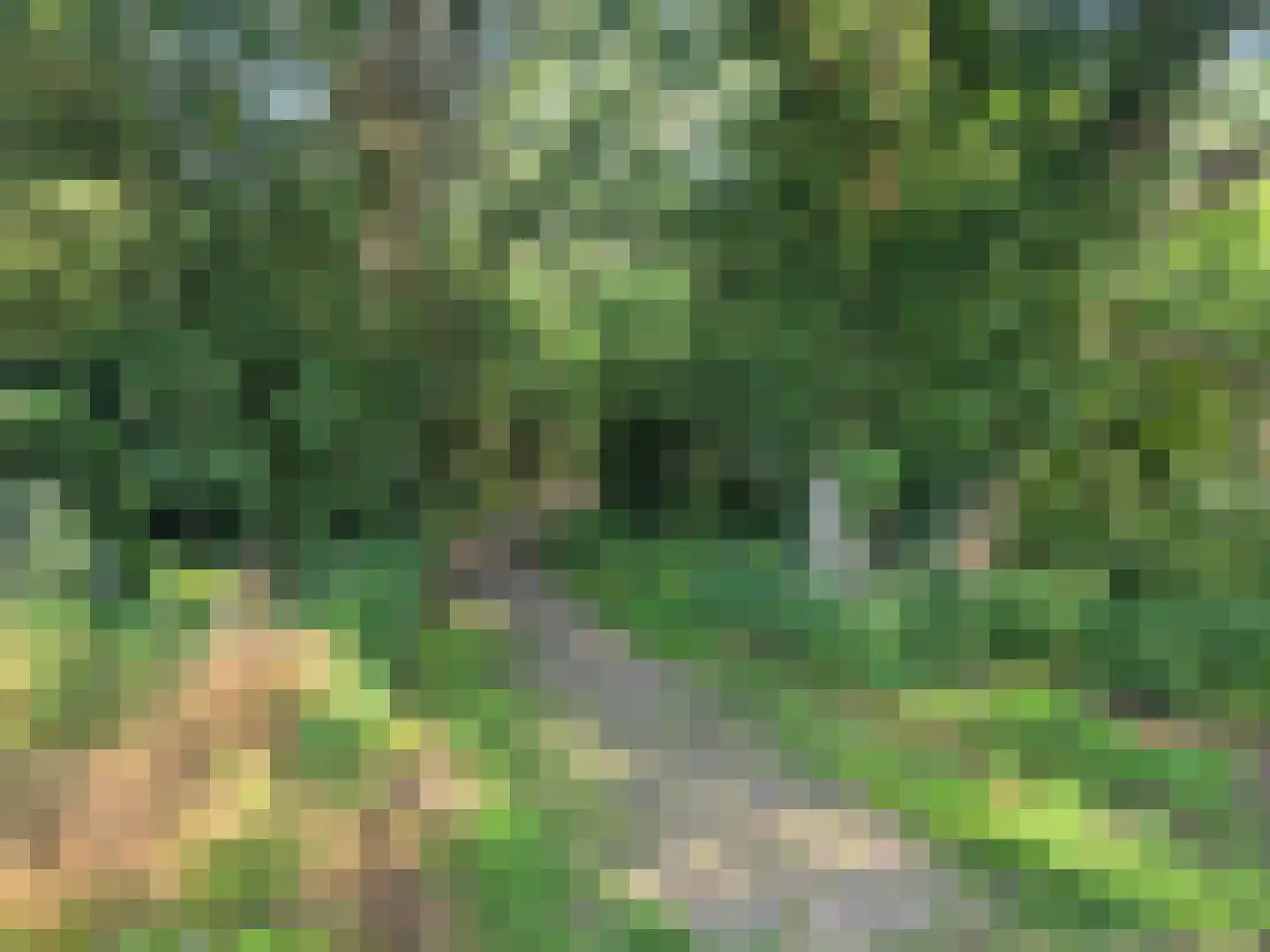 Waaijenburg 4 Ruurlo thumbnail 71