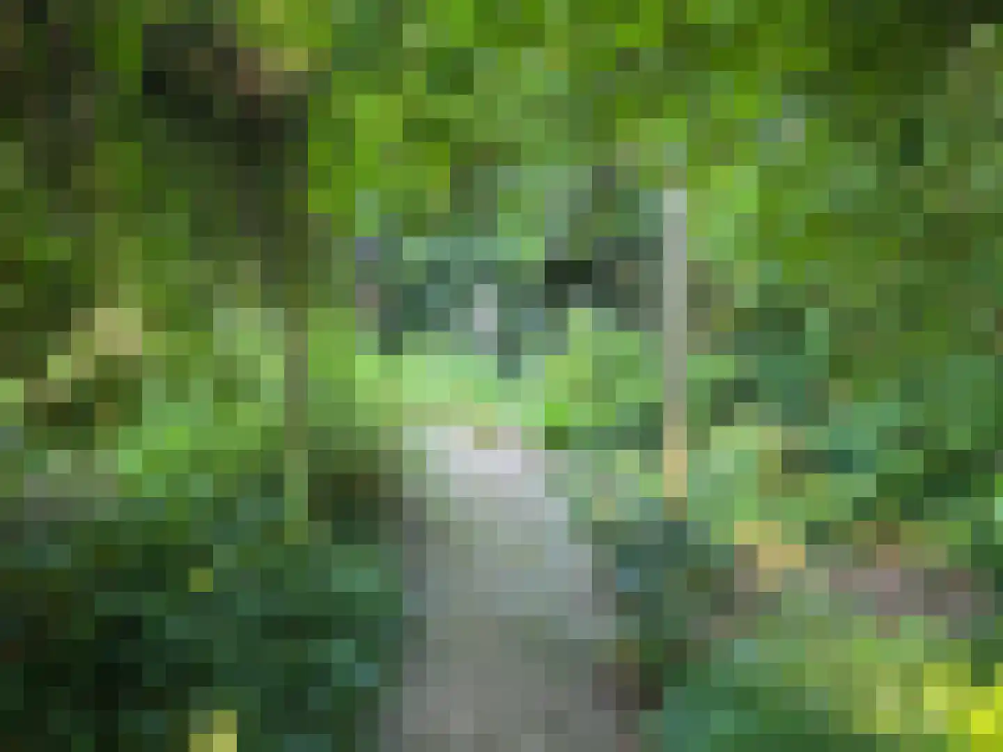 Waaijenburg 4 Ruurlo thumbnail 72