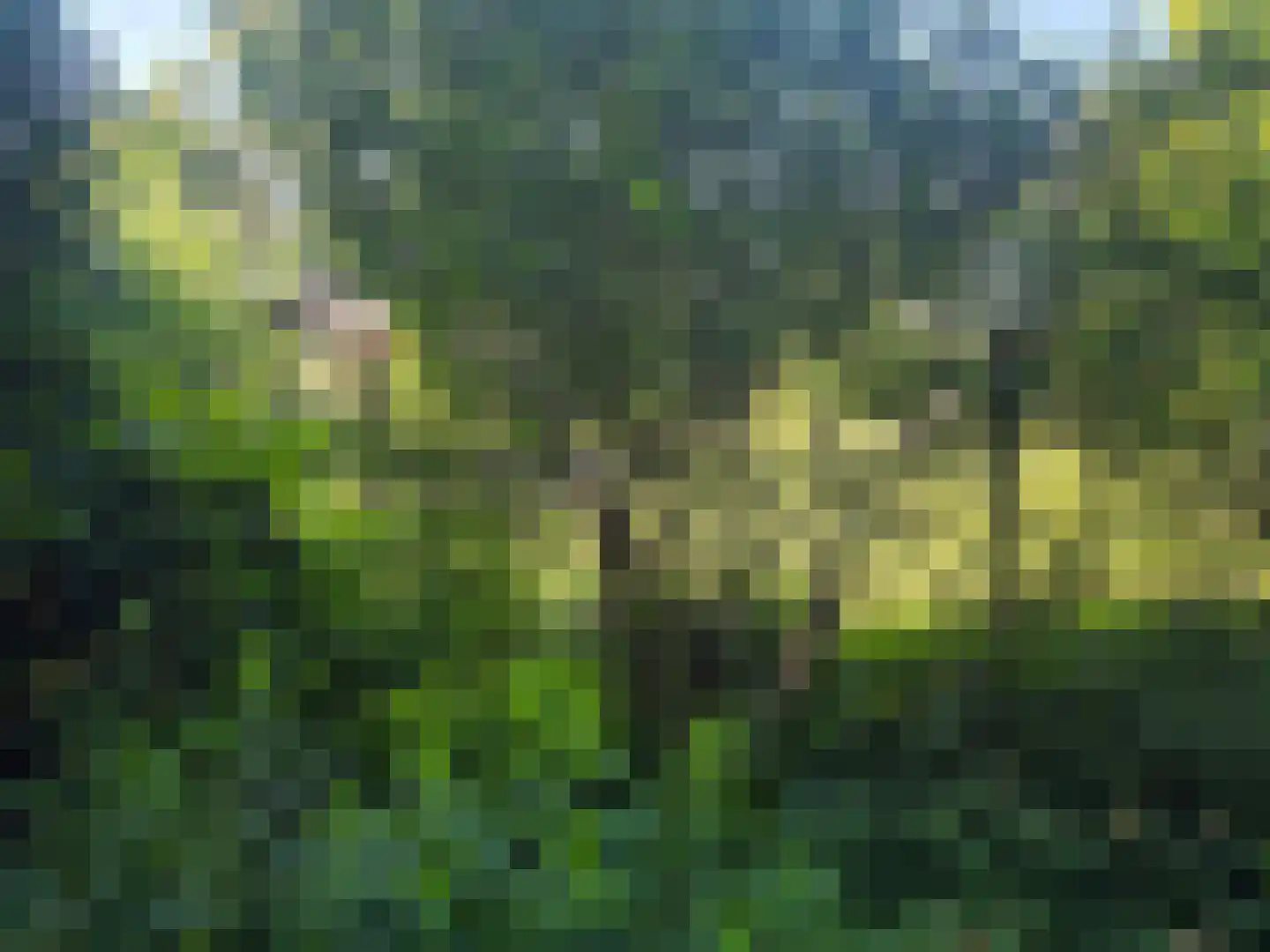 Waaijenburg 4 Ruurlo thumbnail 73