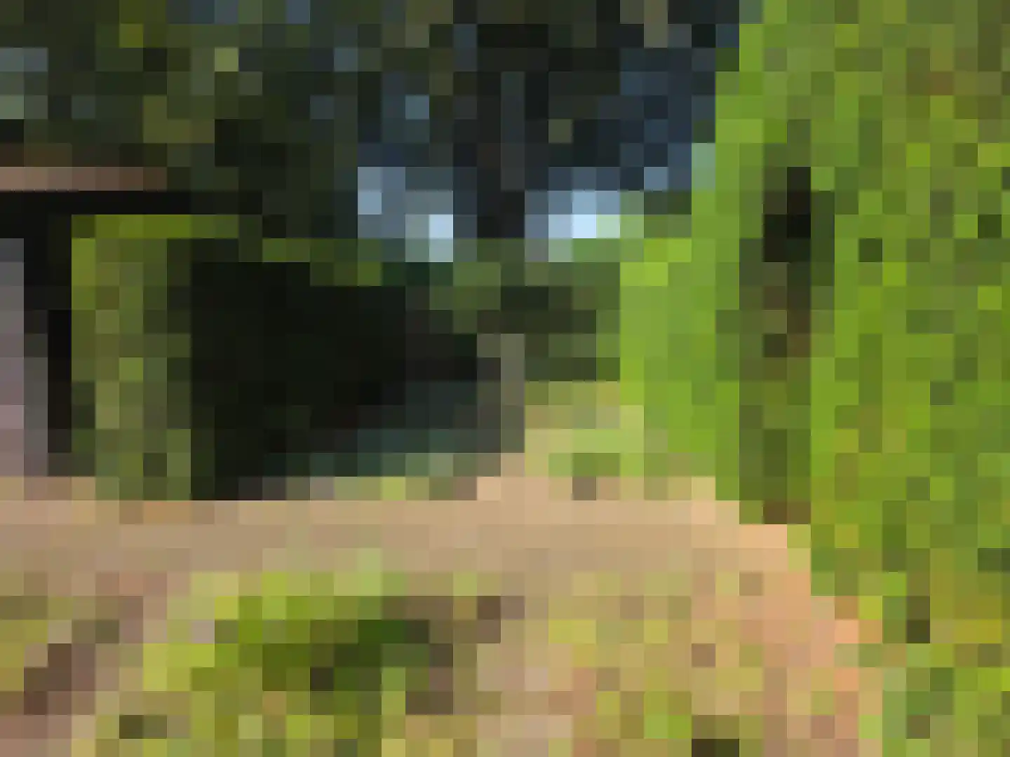 Waaijenburg 4 Ruurlo thumbnail 74