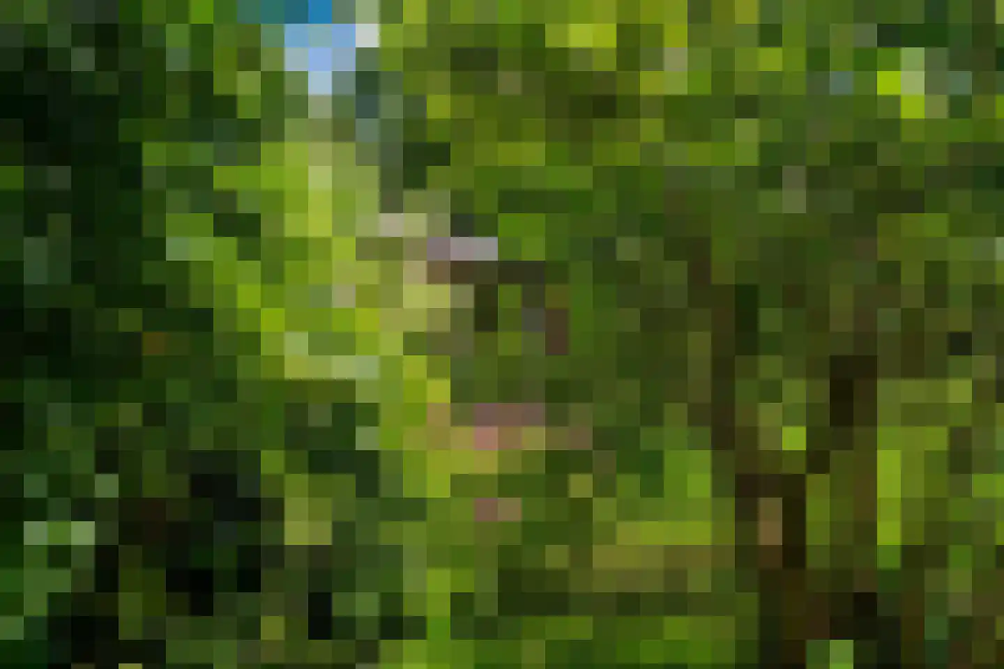 Waaijenburg 4 Ruurlo thumbnail 75