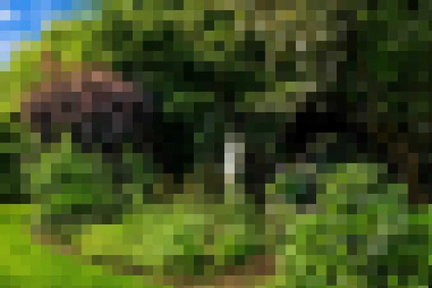 Waaijenburg 4 Ruurlo thumbnail 76