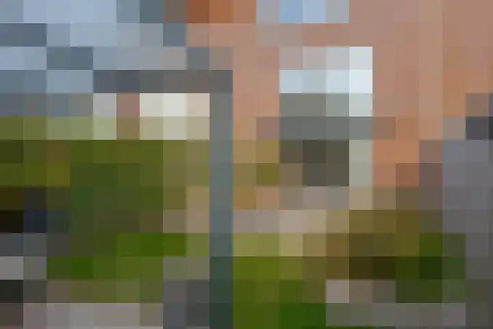 Waaistraat 13 Zwolle thumbnail 16