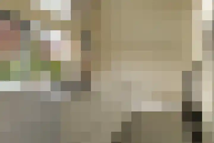 Waaistraat 13 Zwolle thumbnail 21