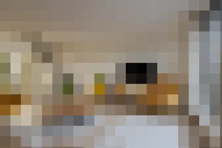 Waaistraat 13 Zwolle thumbnail 33