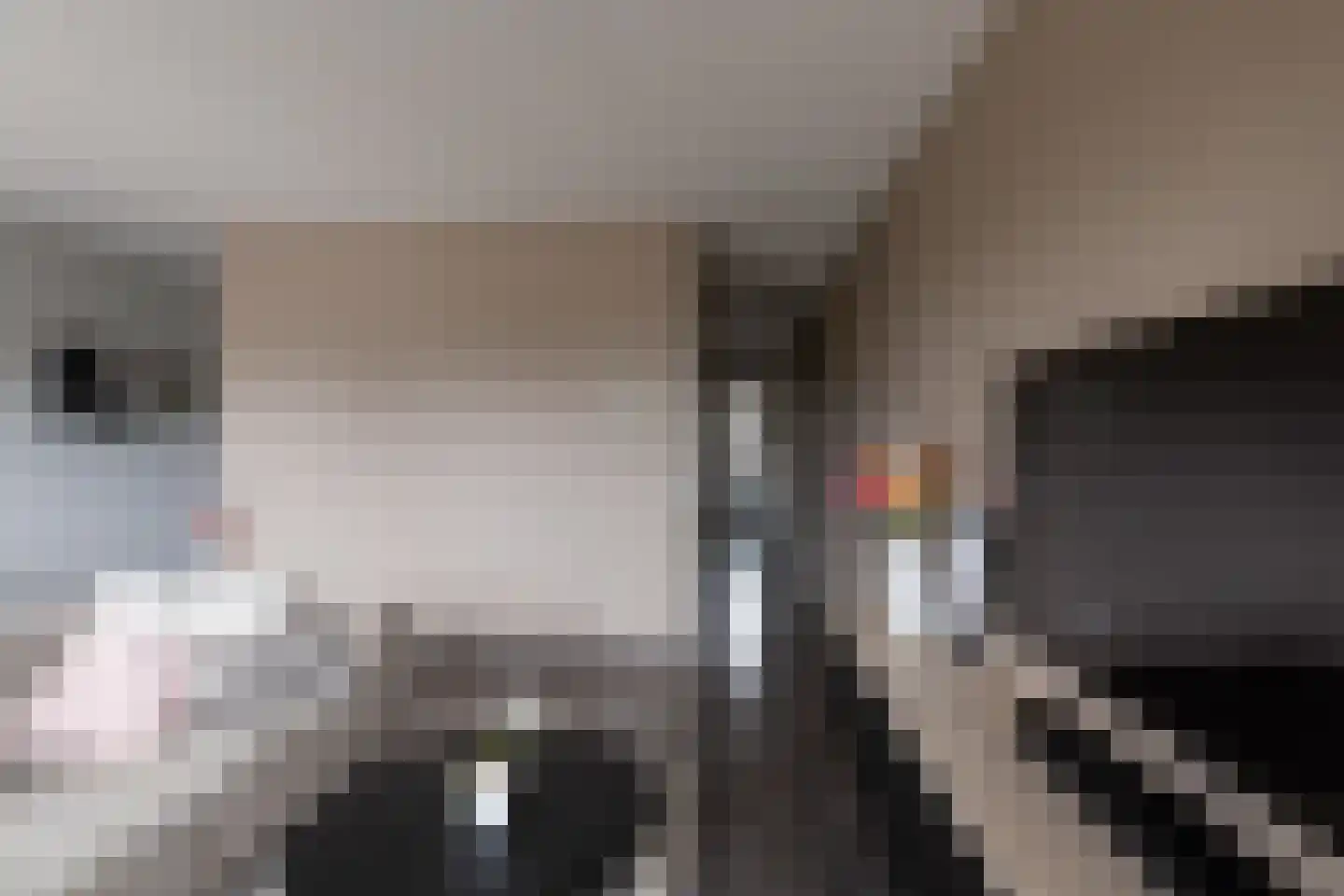 Waakvlamstraat 10 Gaanderen thumbnail 11