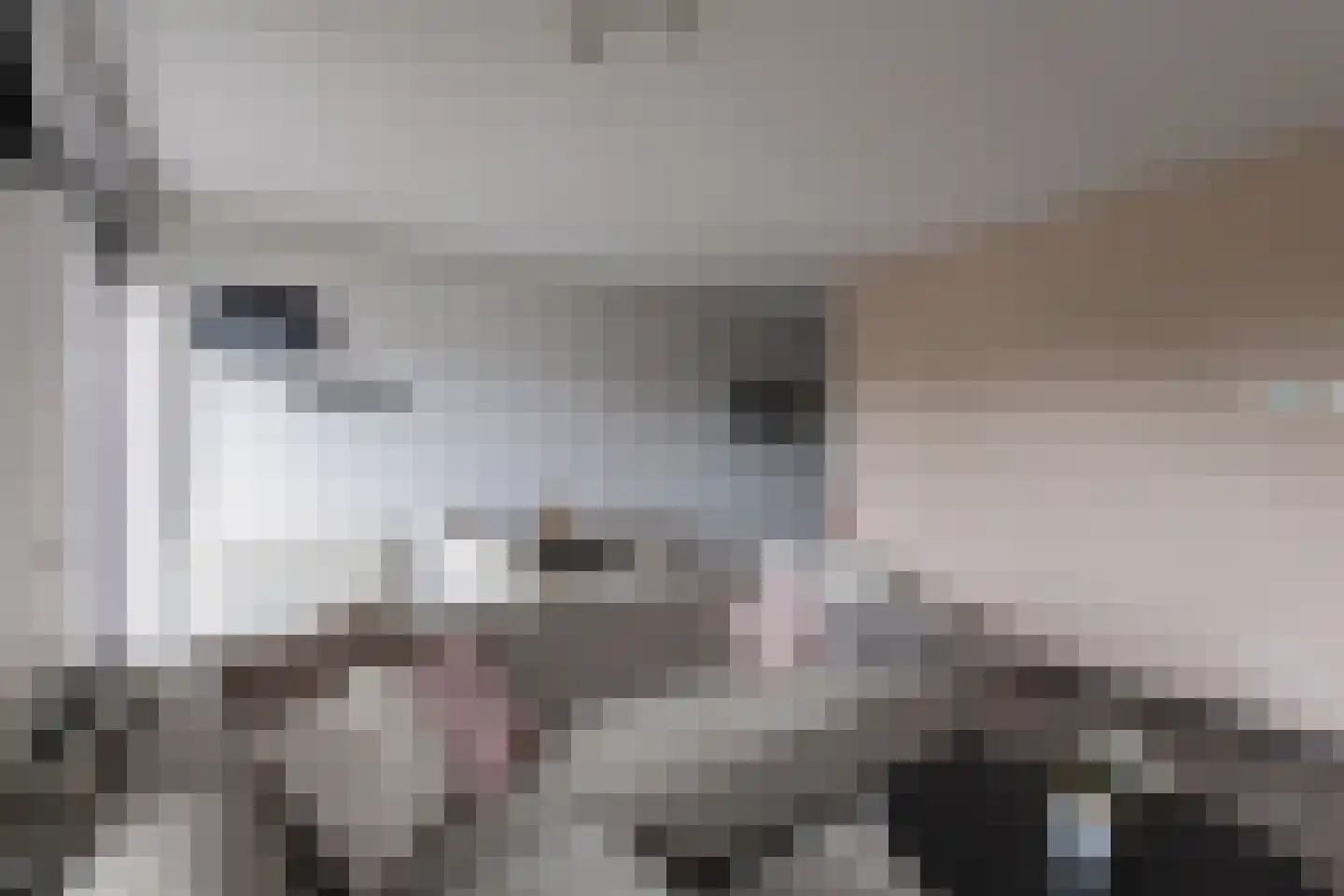 Waakvlamstraat 10 Gaanderen thumbnail 12