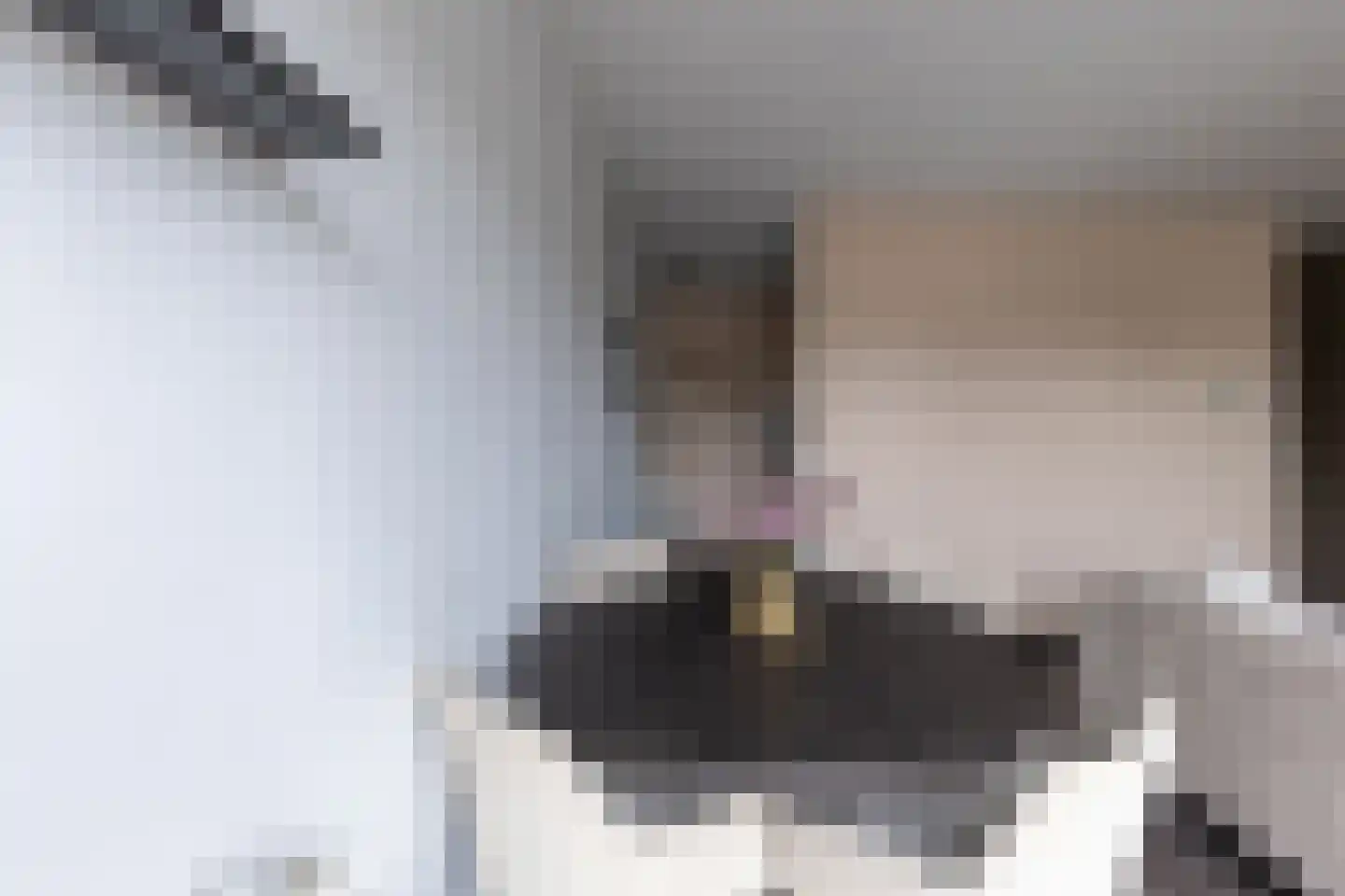 Waakvlamstraat 10 Gaanderen thumbnail 14