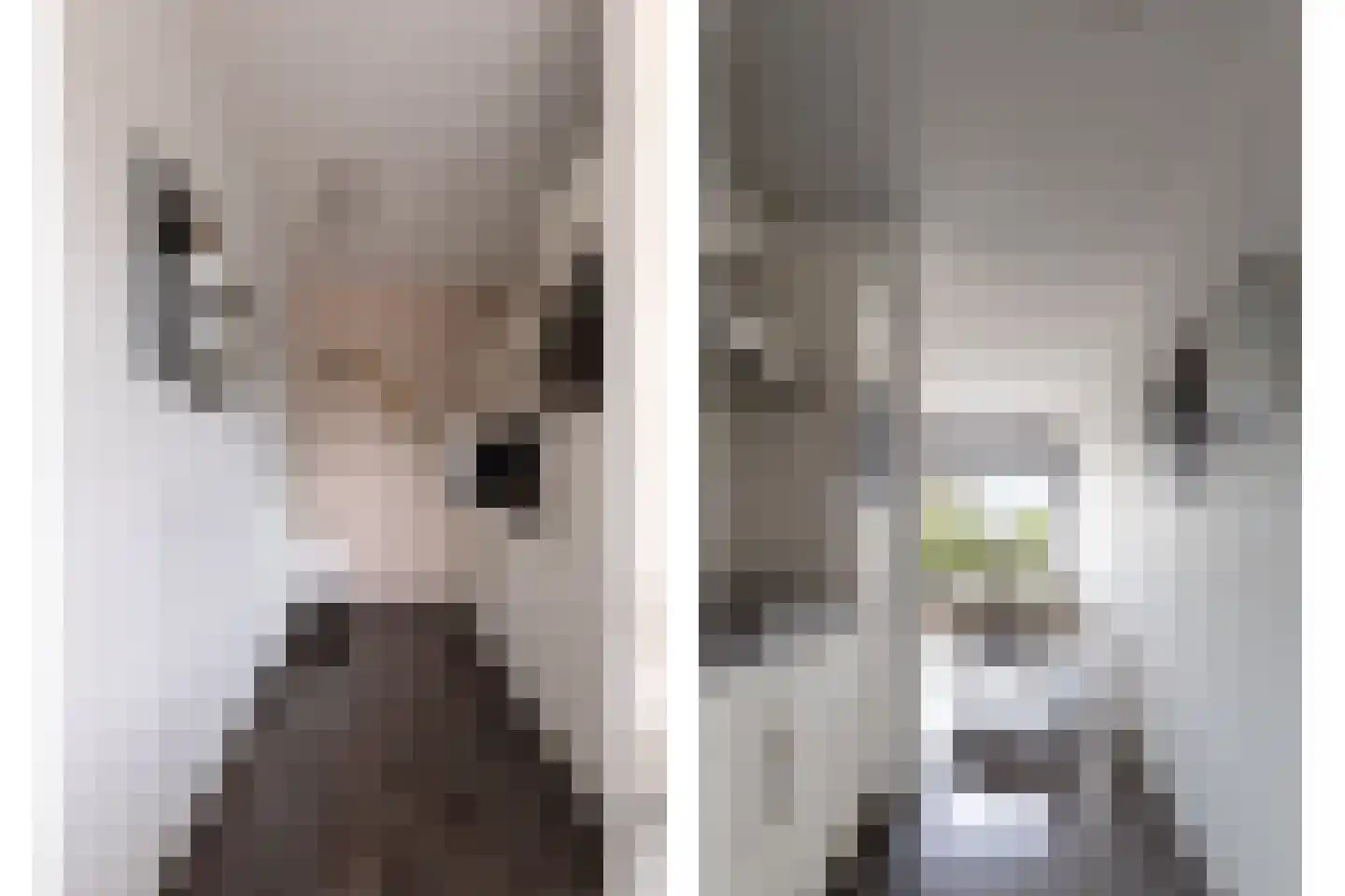 Waakvlamstraat 10 Gaanderen thumbnail 15