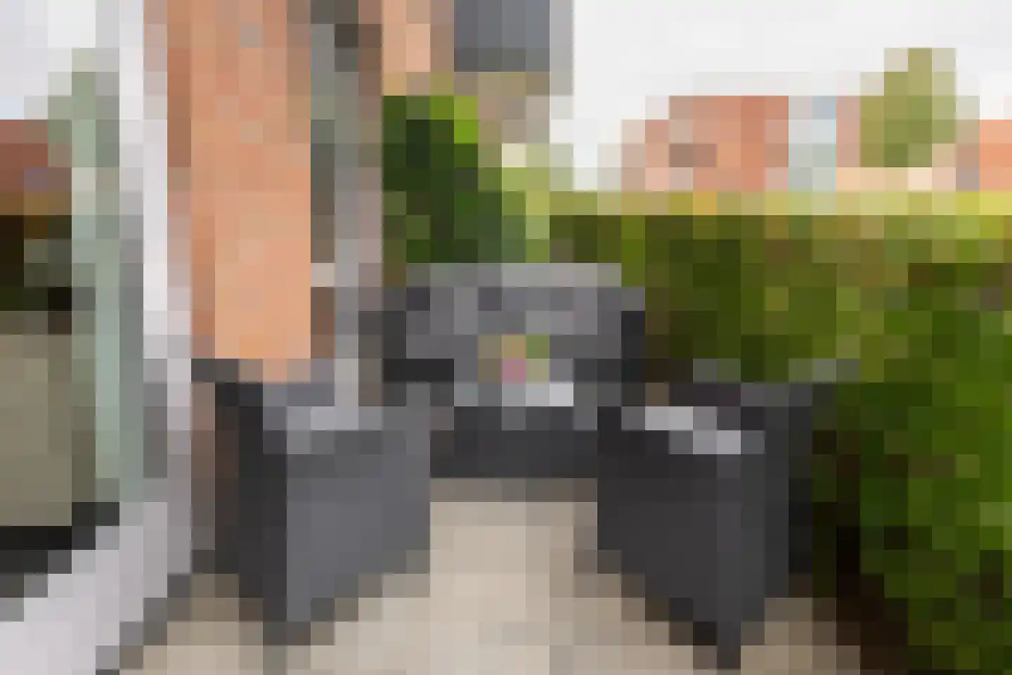 Waakvlamstraat 10 Gaanderen thumbnail 19