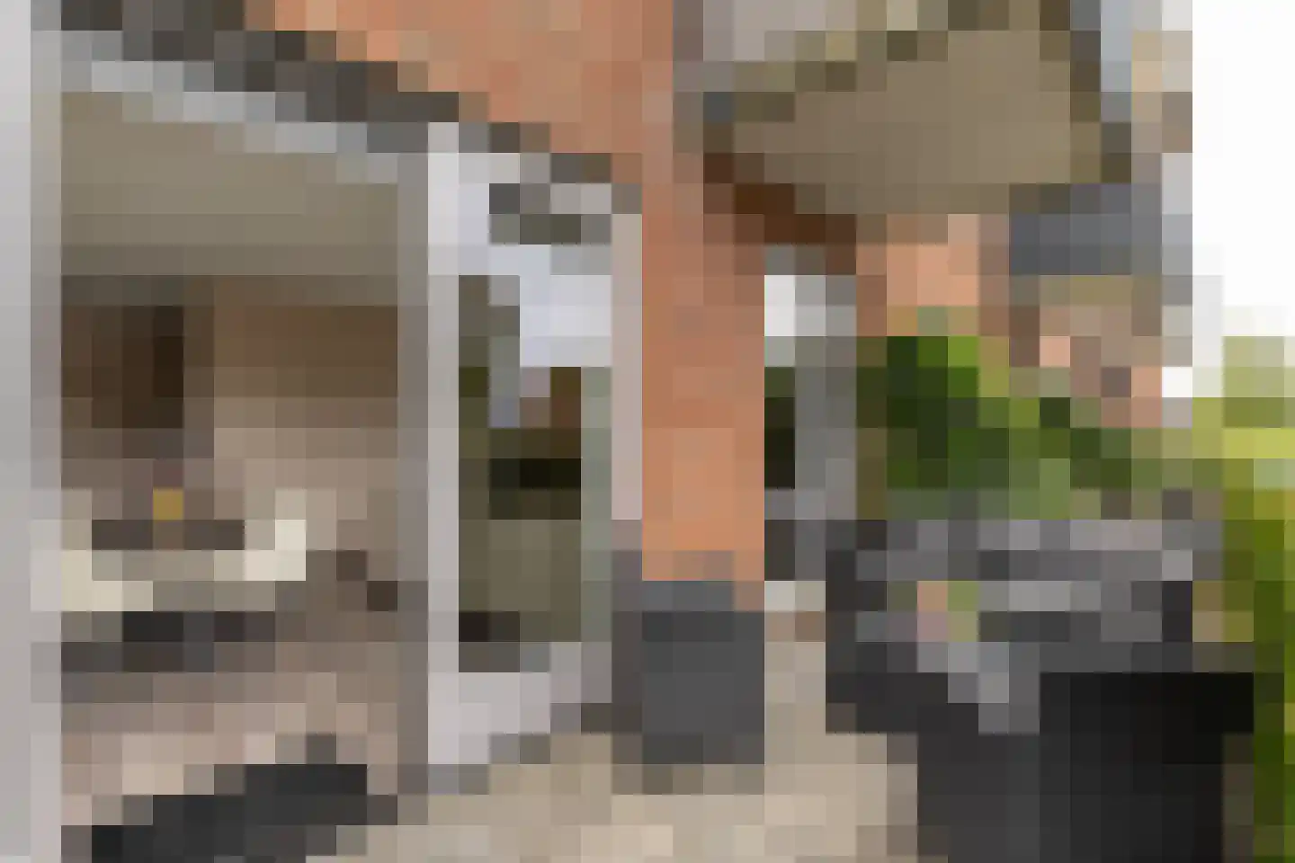 Waakvlamstraat 10 Gaanderen thumbnail 21