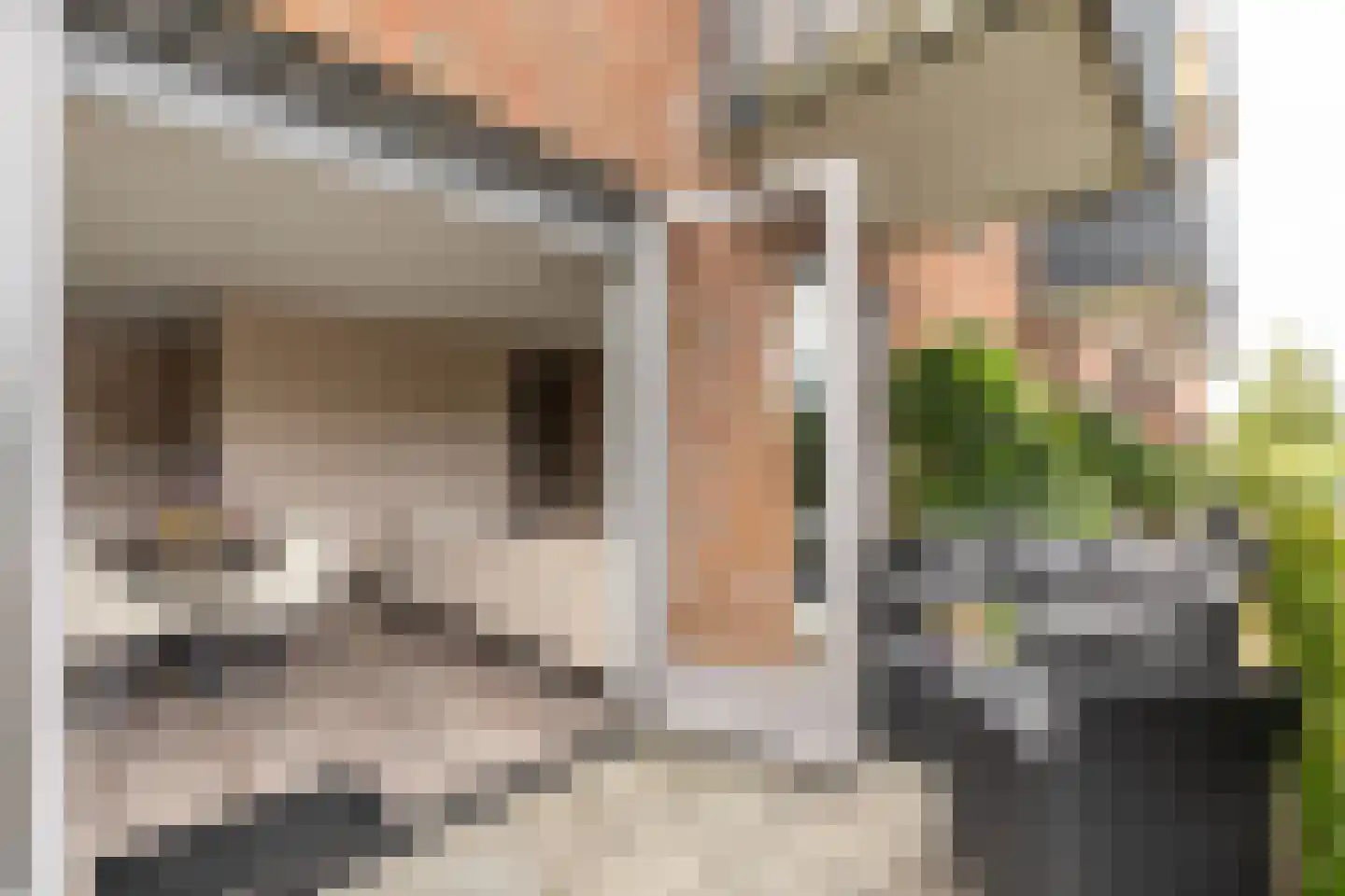 Waakvlamstraat 10 Gaanderen thumbnail 22