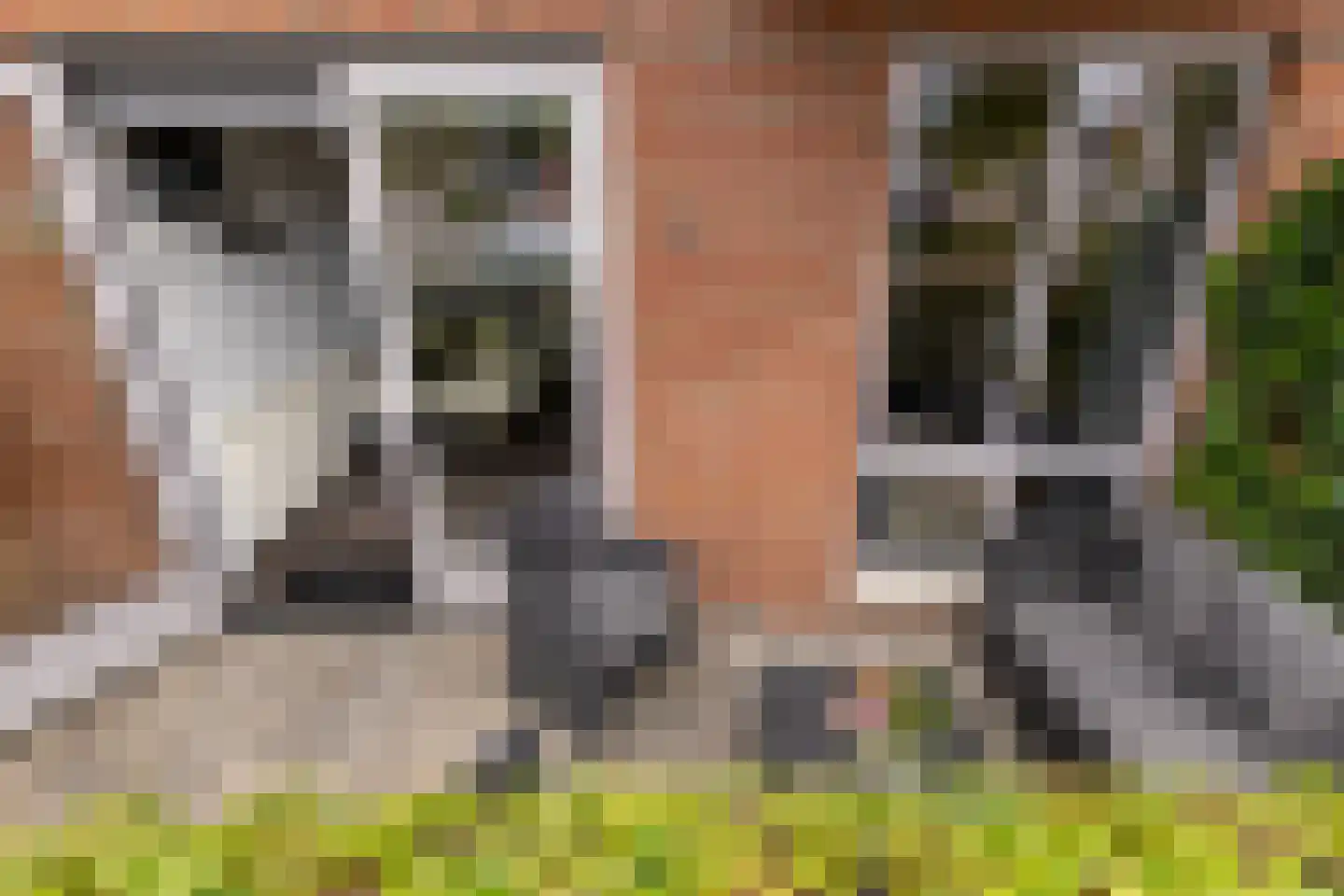Waakvlamstraat 10 Gaanderen thumbnail 23