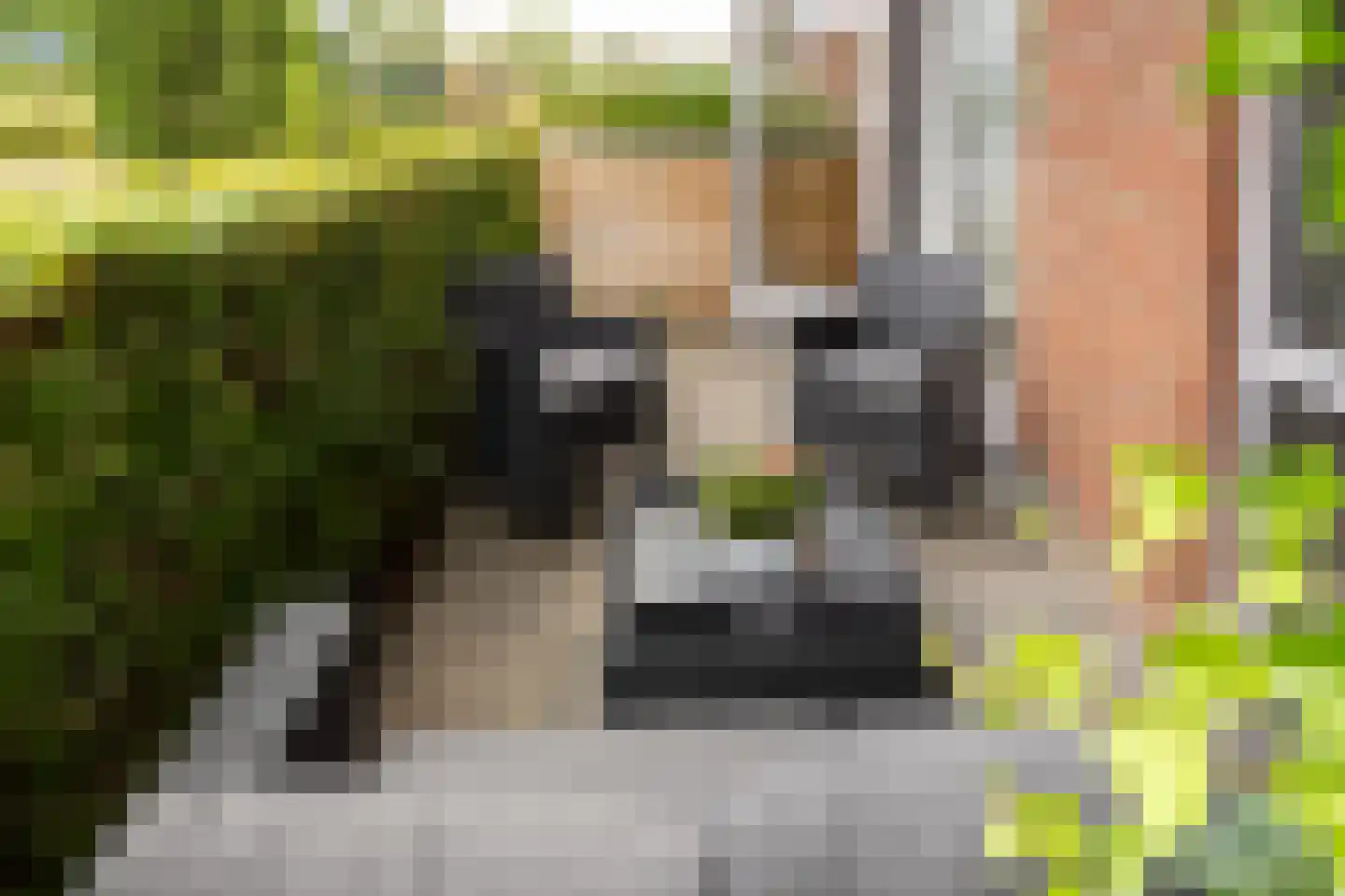 Waakvlamstraat 10 Gaanderen thumbnail 24