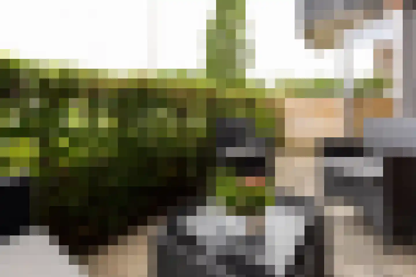 Waakvlamstraat 10 Gaanderen thumbnail 26