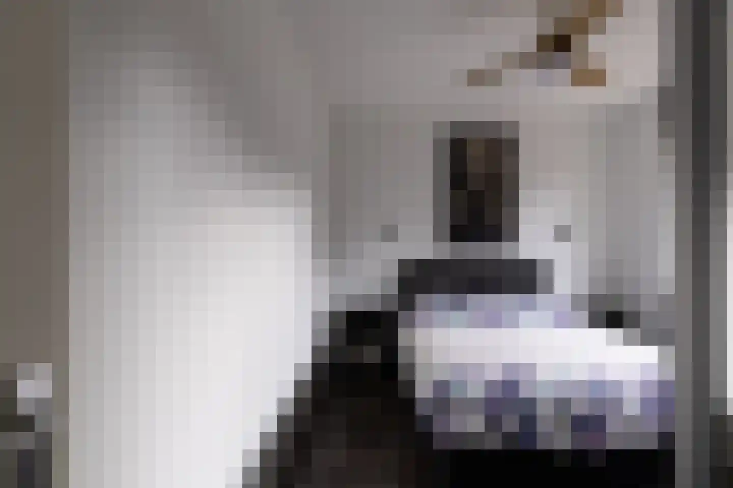 Waakvlamstraat 10 Gaanderen thumbnail 29