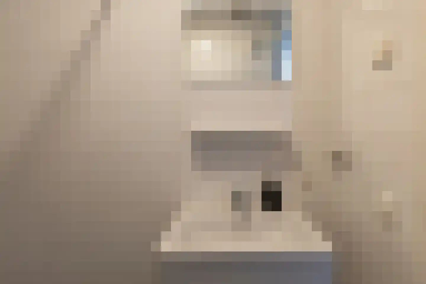 Waakvlamstraat 10 Gaanderen thumbnail 34