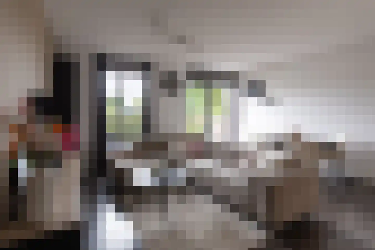 Waakvlamstraat 10 Gaanderen thumbnail 5