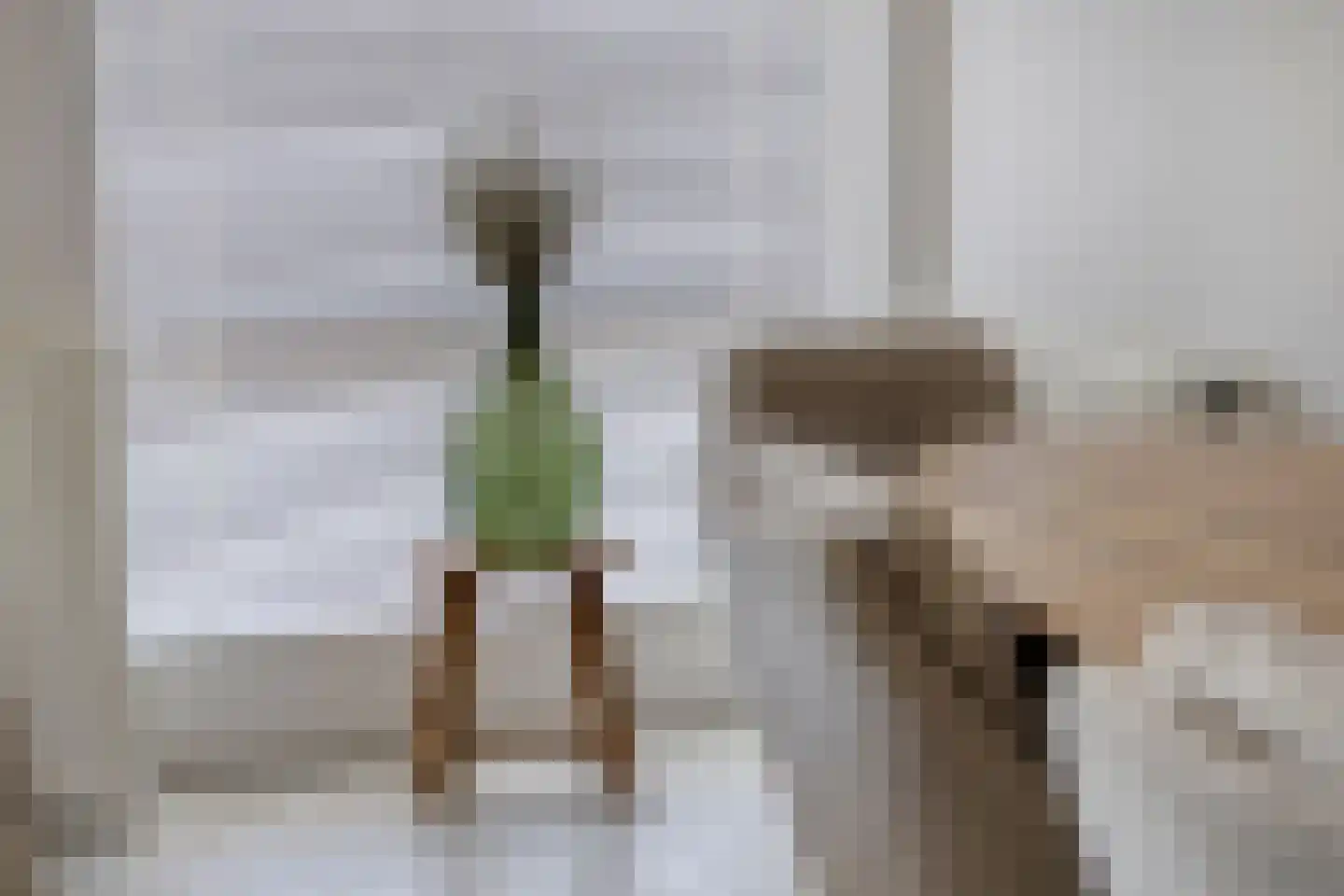 Waakvlamstraat 18 Gaanderen thumbnail 10