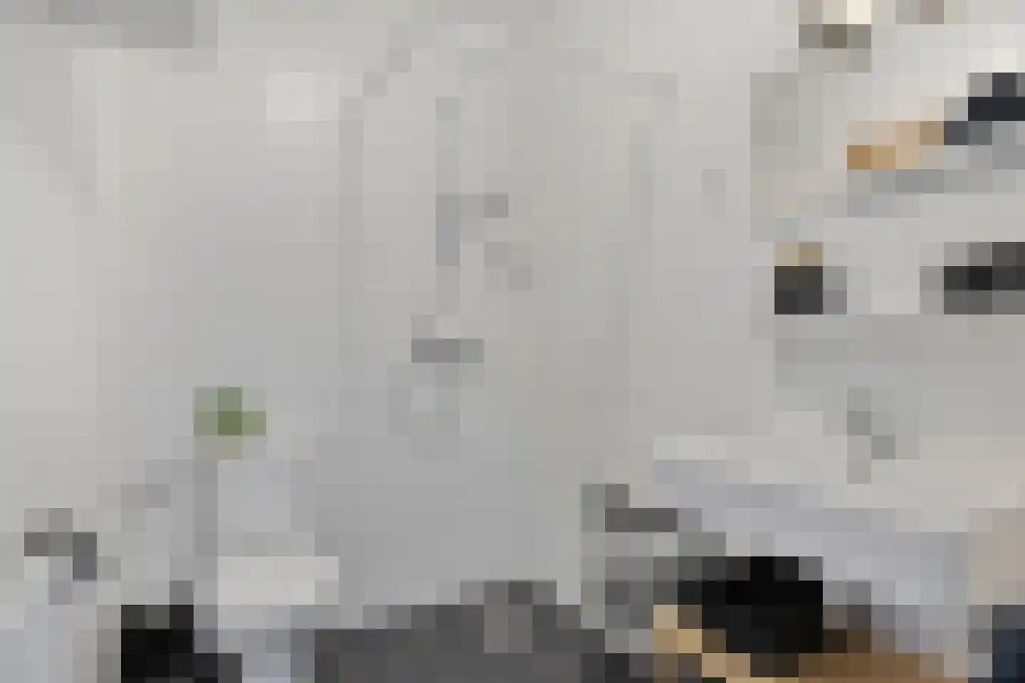 Waakvlamstraat 18 Gaanderen thumbnail 17