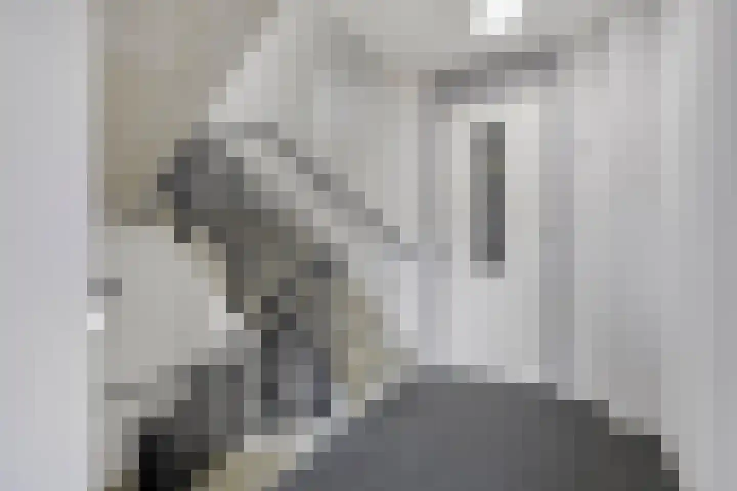 Waakvlamstraat 18 Gaanderen thumbnail 23