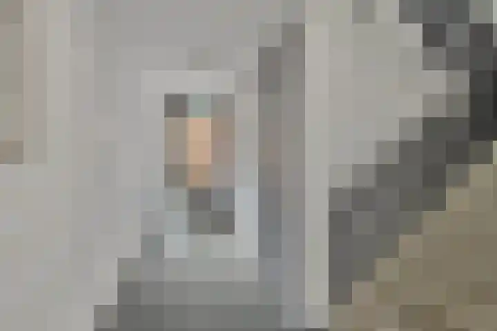 Waakvlamstraat 28 Gaanderen thumbnail 10