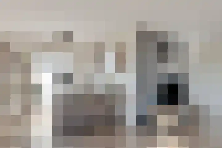 Waakvlamstraat 28 Gaanderen thumbnail 20