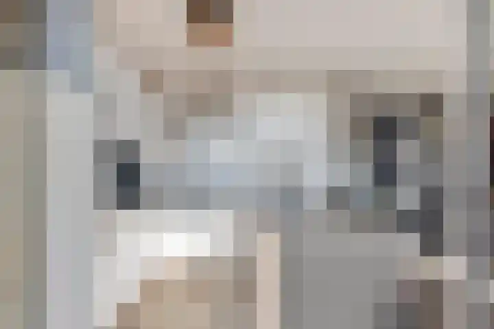 Waakvlamstraat 28 Gaanderen thumbnail 23