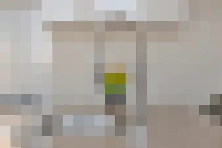 Waakvlamstraat 28 Gaanderen thumbnail 24