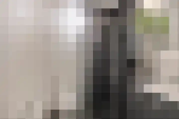 Waakvlamstraat 28 Gaanderen thumbnail 32