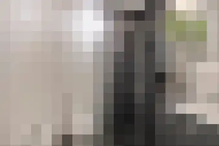 Waakvlamstraat 28 Gaanderen thumbnail 4