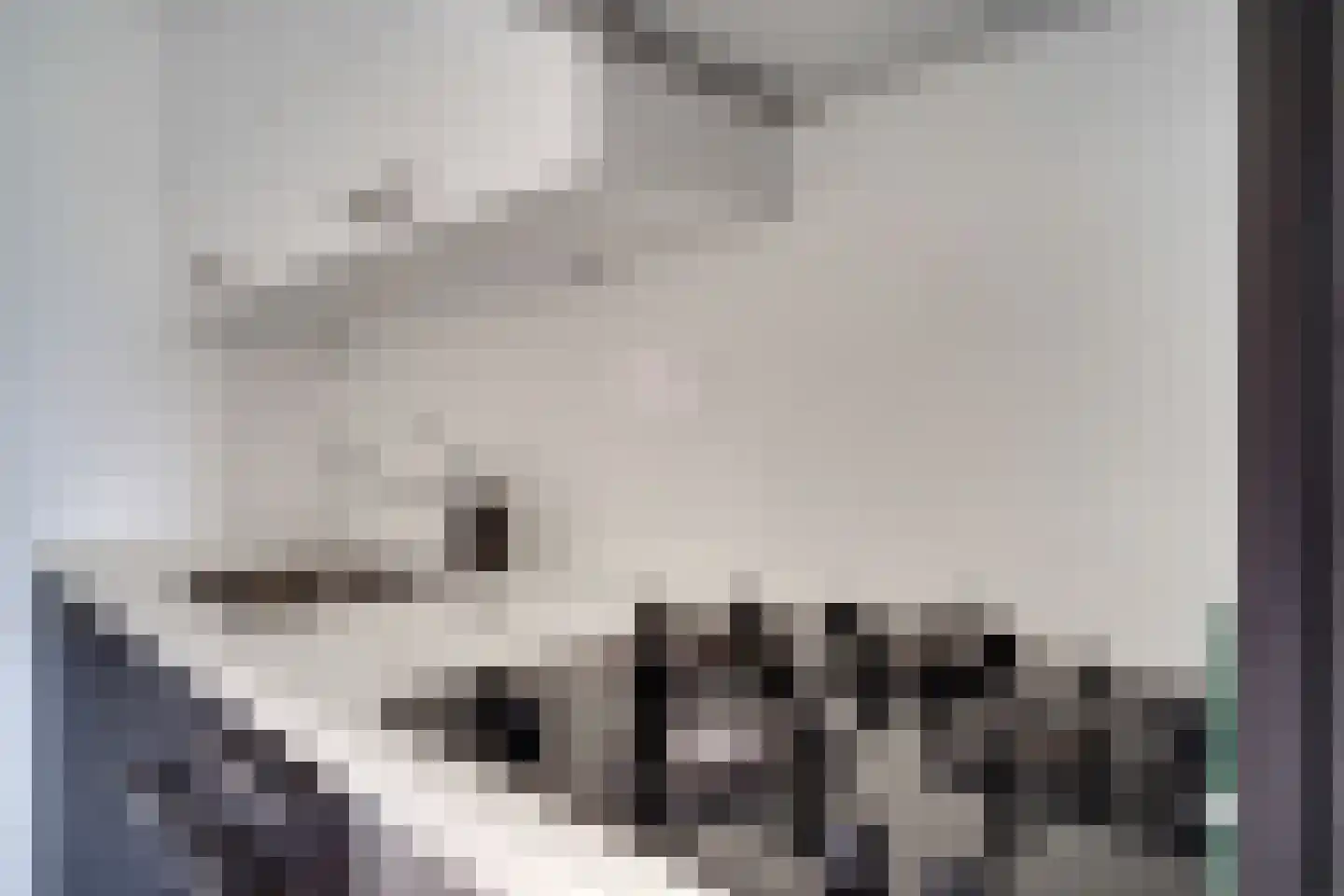 Waakvlamstraat 30 Gaanderen thumbnail 17