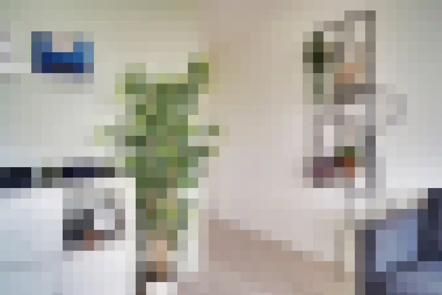 Waakvlamstraat 30 Gaanderen thumbnail 22