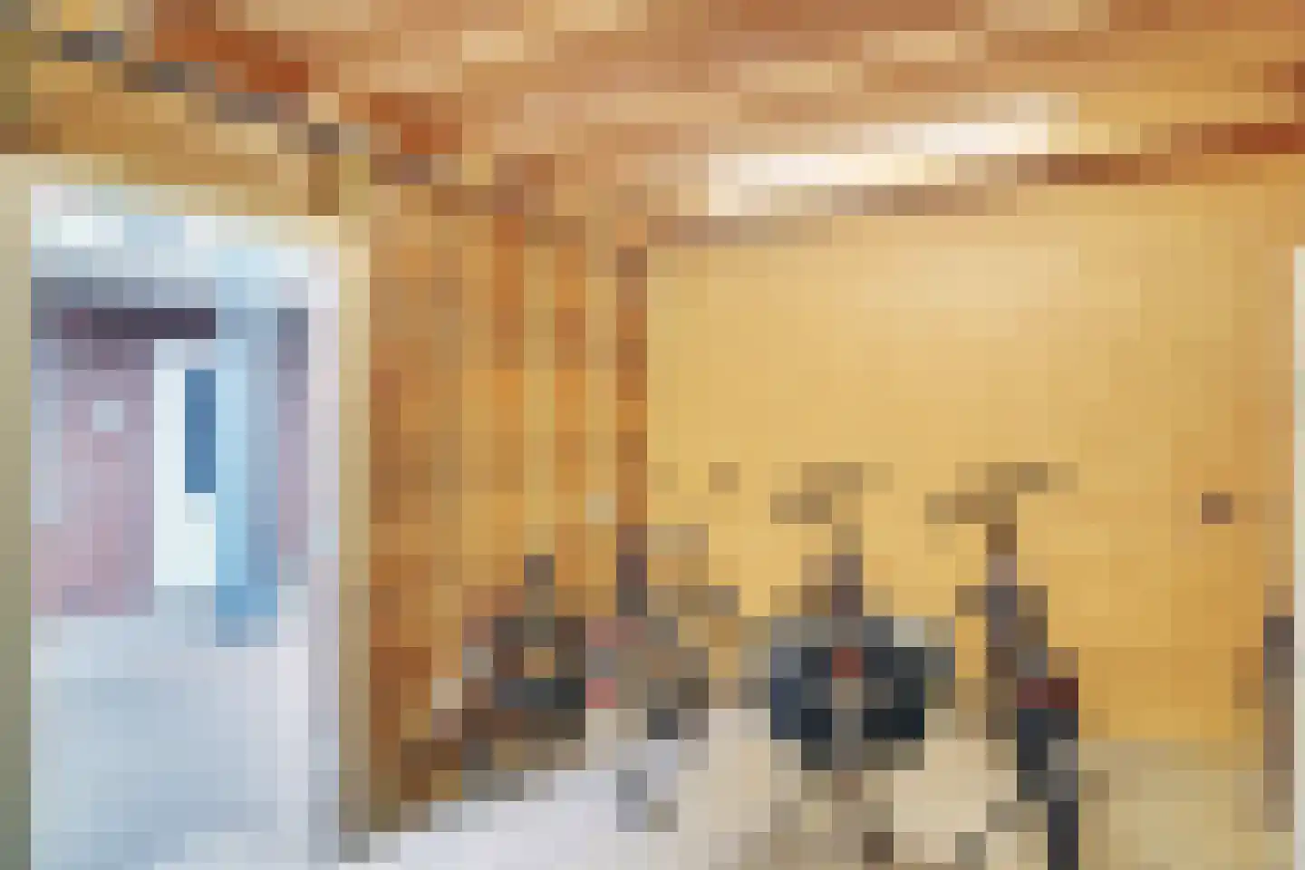 Waakvlamstraat 30 Gaanderen thumbnail 31