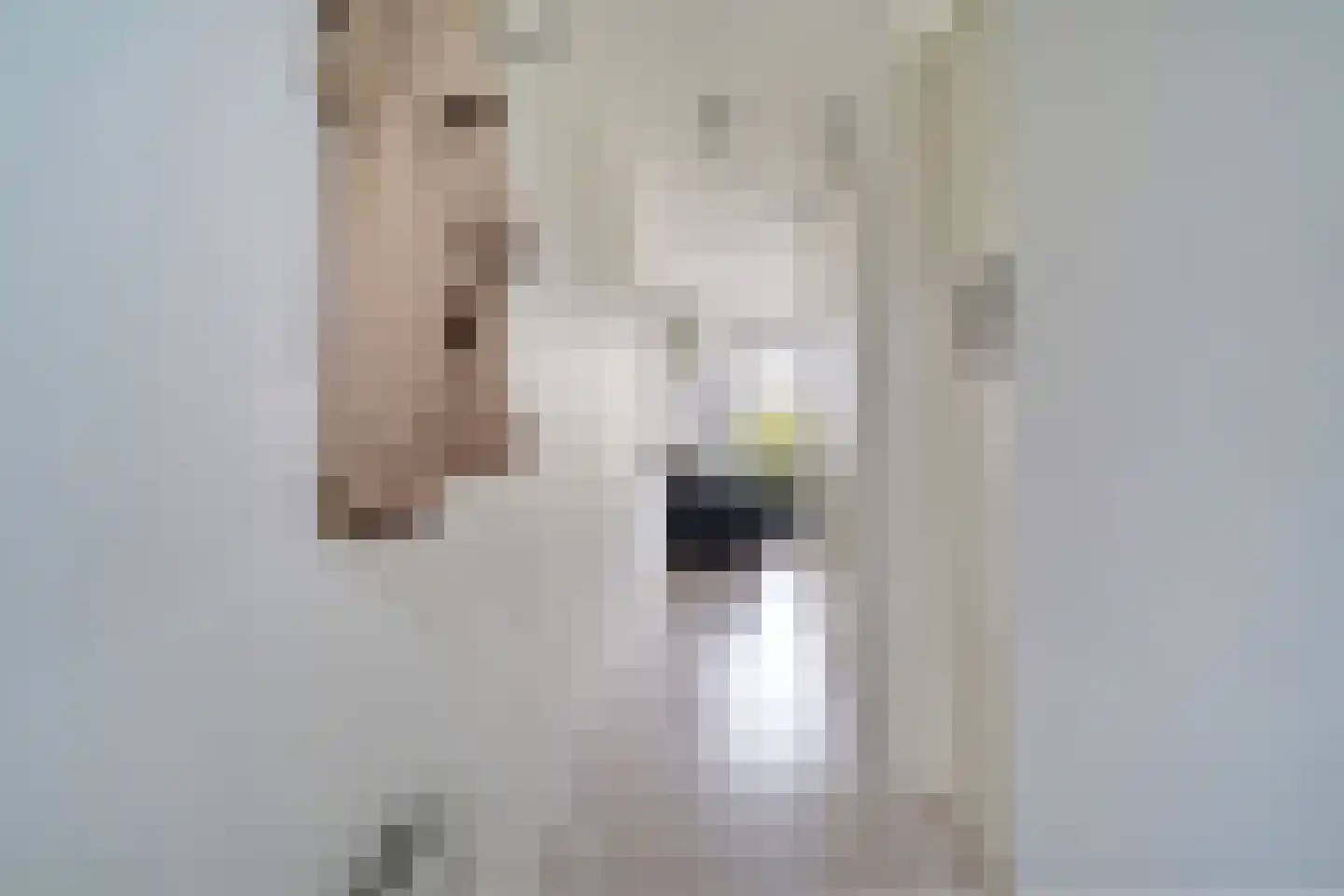 Waakvlamstraat 30 Gaanderen thumbnail 9