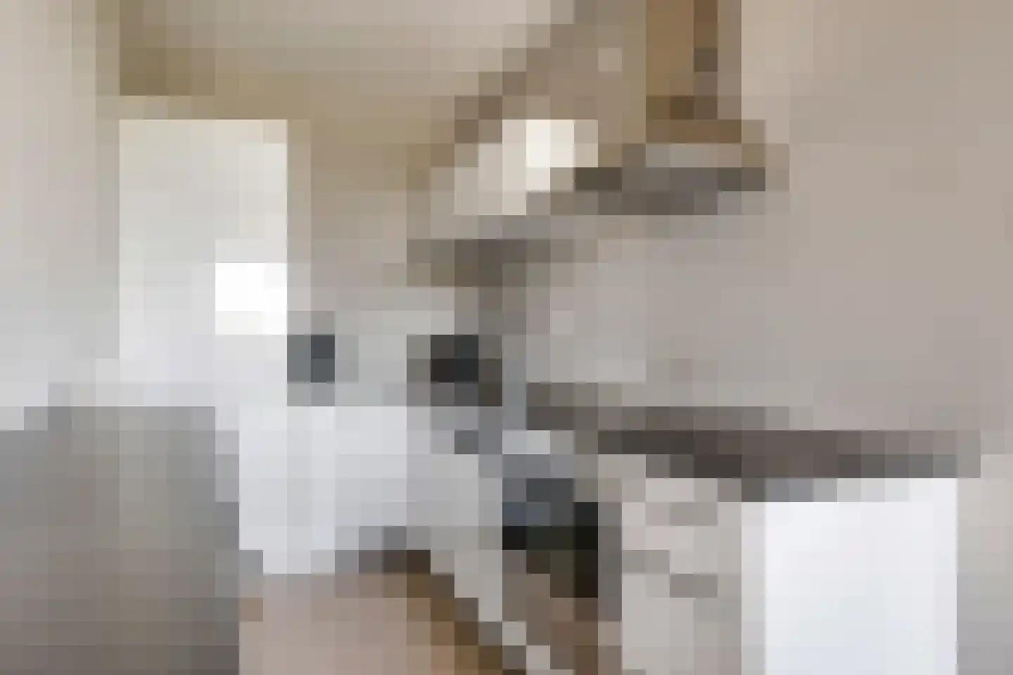 Waakvlamstraat 32 Gaanderen thumbnail 16