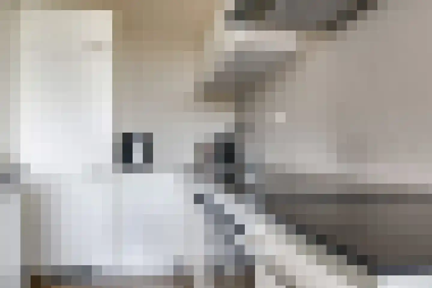 Waakvlamstraat 32 Gaanderen thumbnail 17