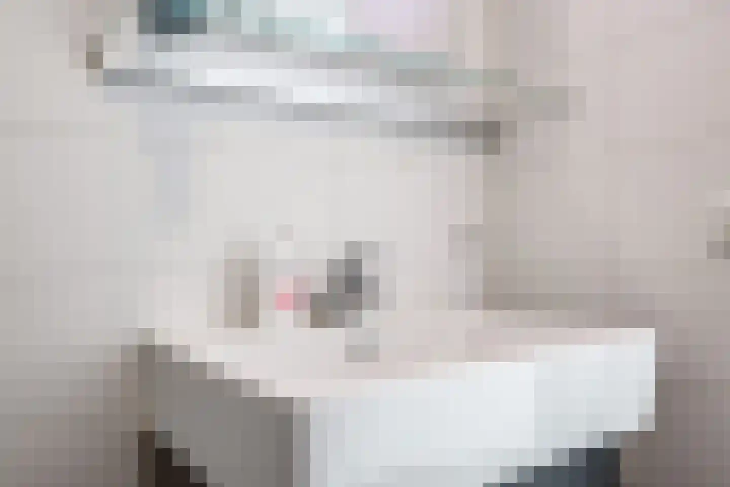 Waakvlamstraat 32 Gaanderen thumbnail 25