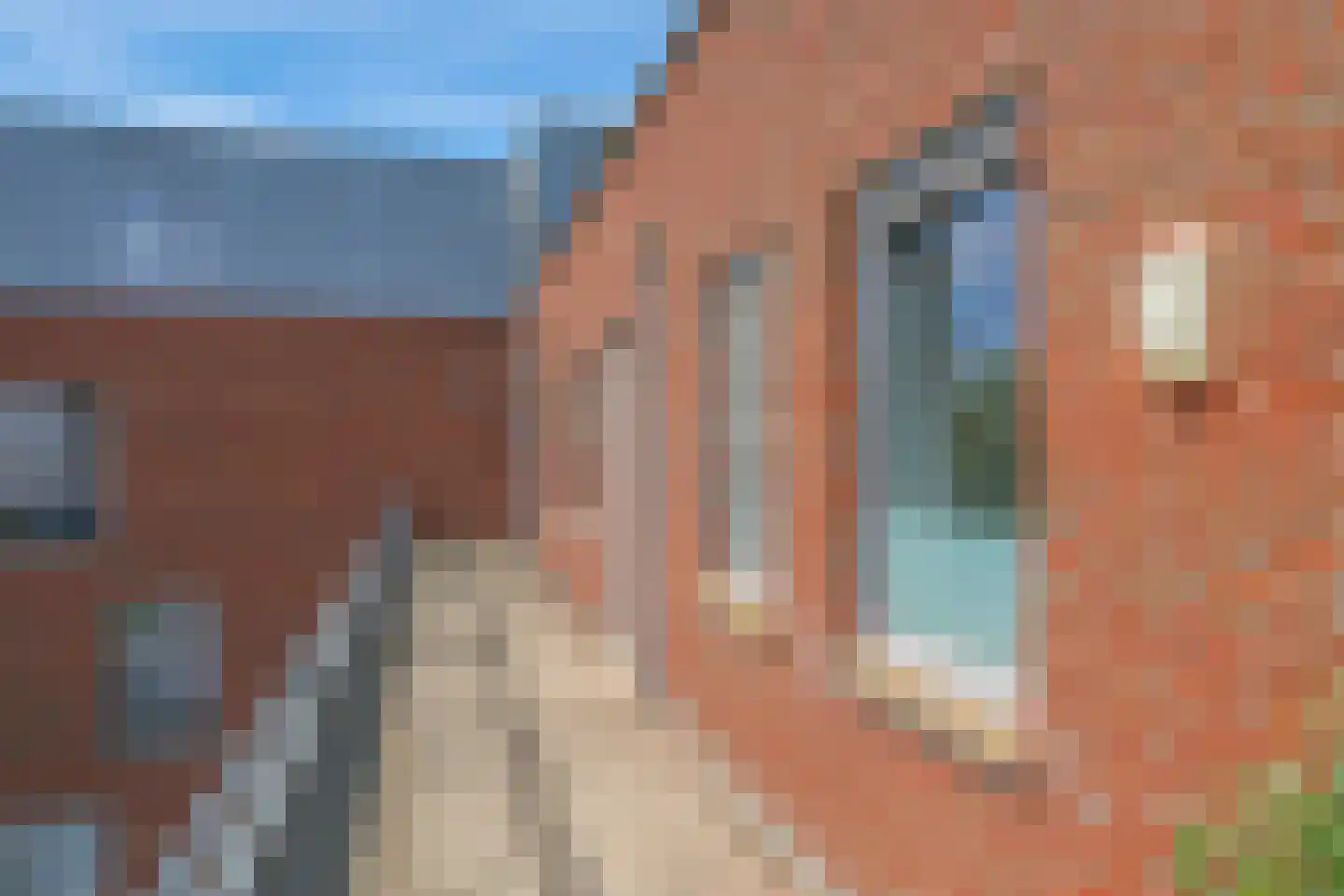 Waakvlamstraat 32 Gaanderen thumbnail 29