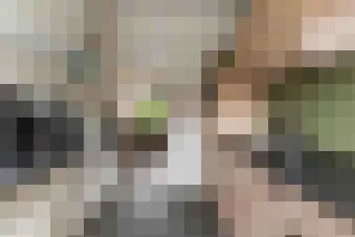 Waal 10 Waal thumbnail 12