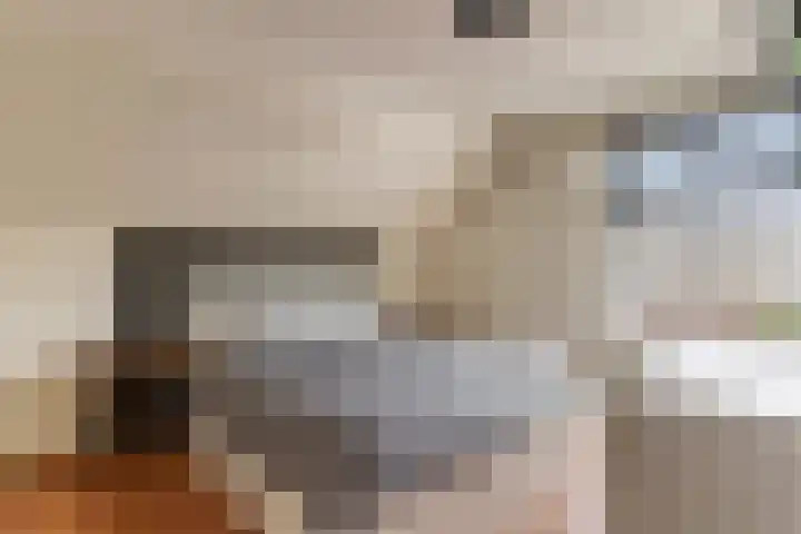 Waal 10 Waal thumbnail 18