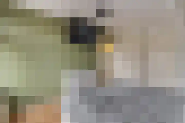 Waal 10 Waal thumbnail 19