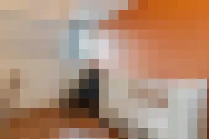 Waal 10 Waal thumbnail 22